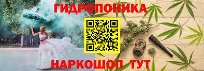 a pvp Гагарин