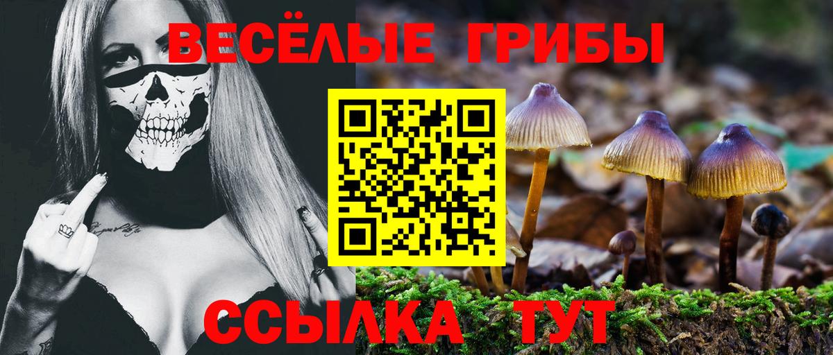 Краснокамск  Псилоцибиновые грибы GOLDEN TEACHER  Вход с VPN 