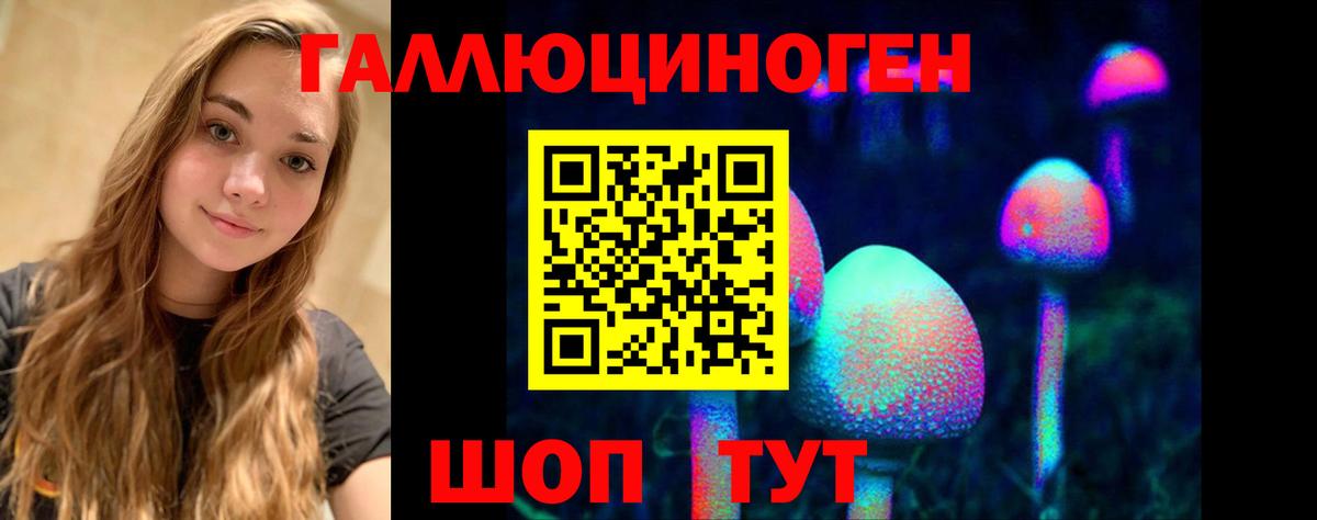 Галлюциногенные грибы Psilocybe Краснокамск